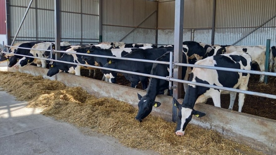 Raspisan Javni poziv za nabavku priplodnih grla. Evo do kada se možete prijaviti