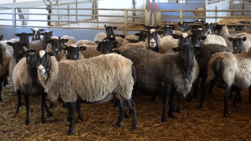 Kakvo se to đubrivo proizvodi na farmi u BiH - jedinstveno u Evropi?