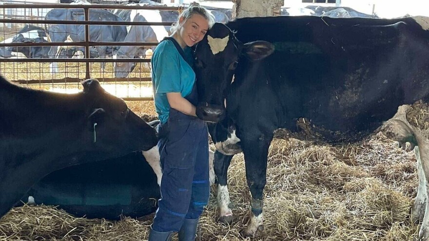 Plavšići ne odustaju od stočarstva: Od male farme krava do 450 grla i robota za mužu