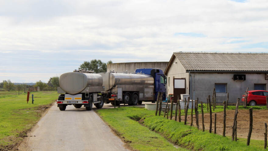 Hrvatska među zemljama EU s najnižom otkupnom cijenom mlijeka