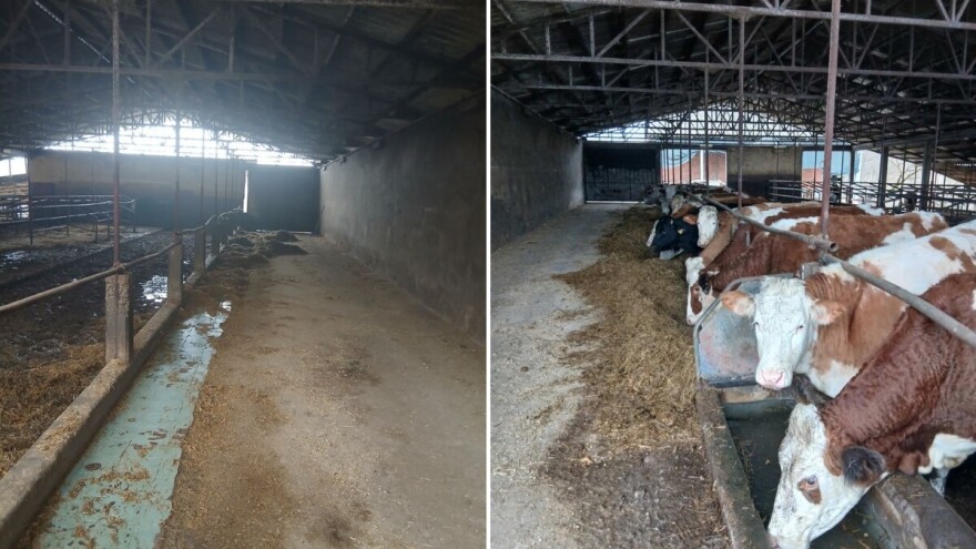 Farma "Šinik" iz Gradiške ugasila proizvodnju: Krave prodali poljoprivredniku u FBiH
