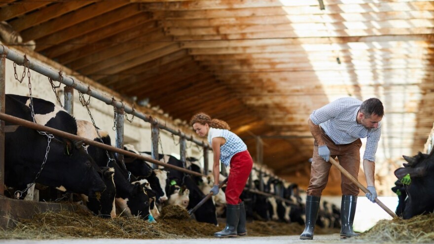 Porastao dohodak u poljoprivredi EU, a oko 30% dolazi od izravnih plaćanja