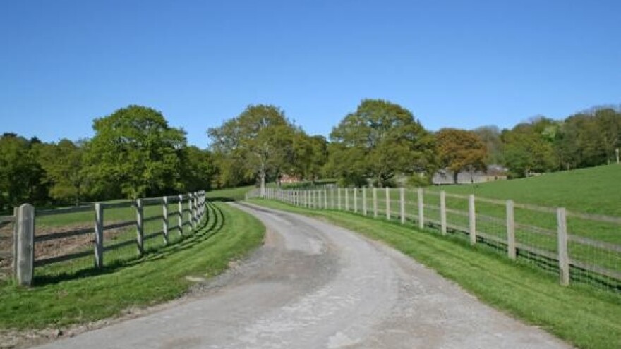 Suvremena svinjogojska farma