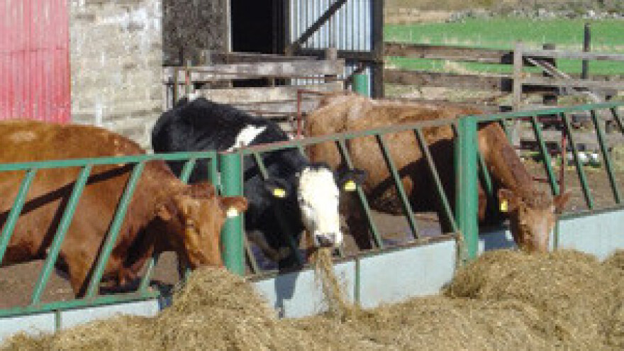 HDSSB ne odustaje od svog prijedloga legalizacije farmi