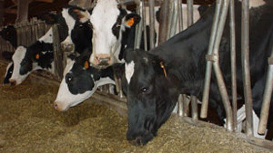 Nije istina da je legalizacija štale skuplja nego vile na moru