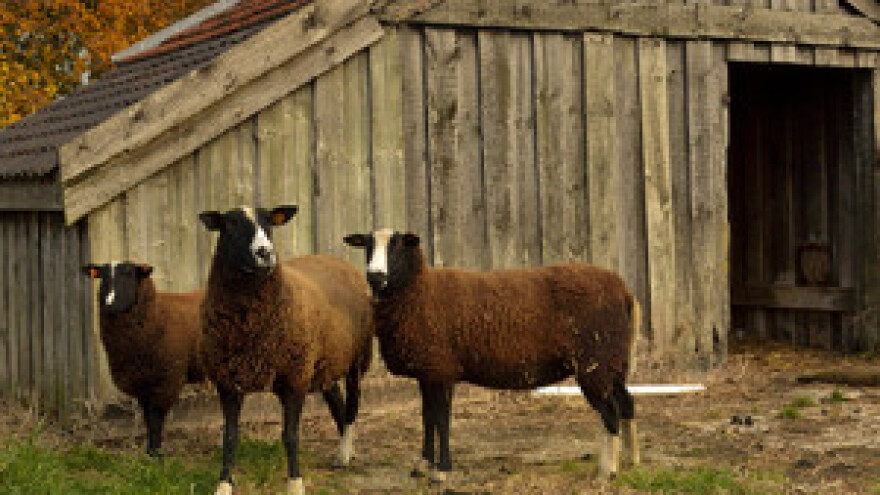 Preko 80 milijuna kuna isplaćeno kroz IPARD