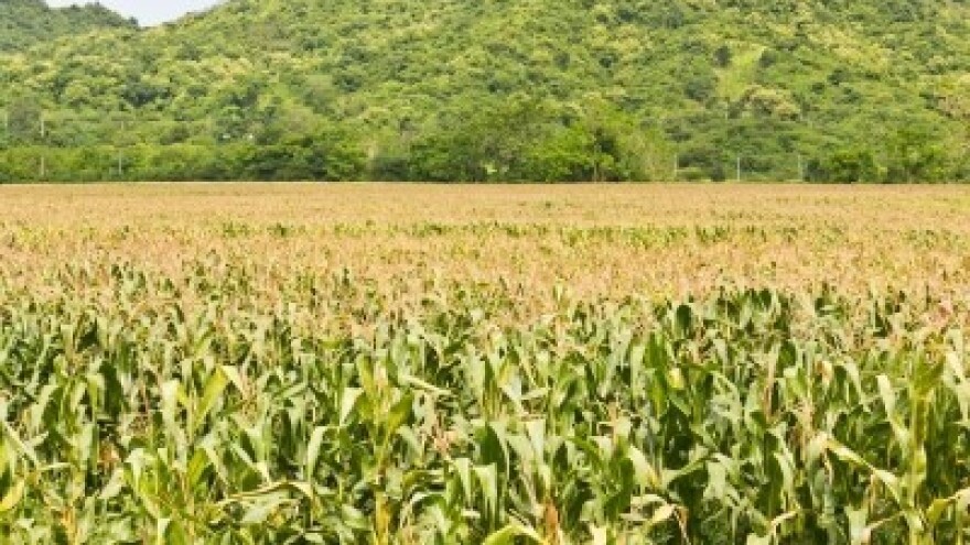 Izgledi za Hrvatsku za 11.04.2015-13.04.2015