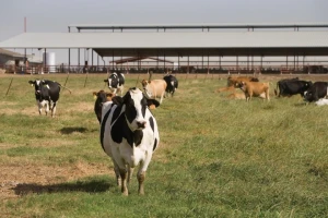 Opremljena farma u Virovitičko-podravskoj županiji