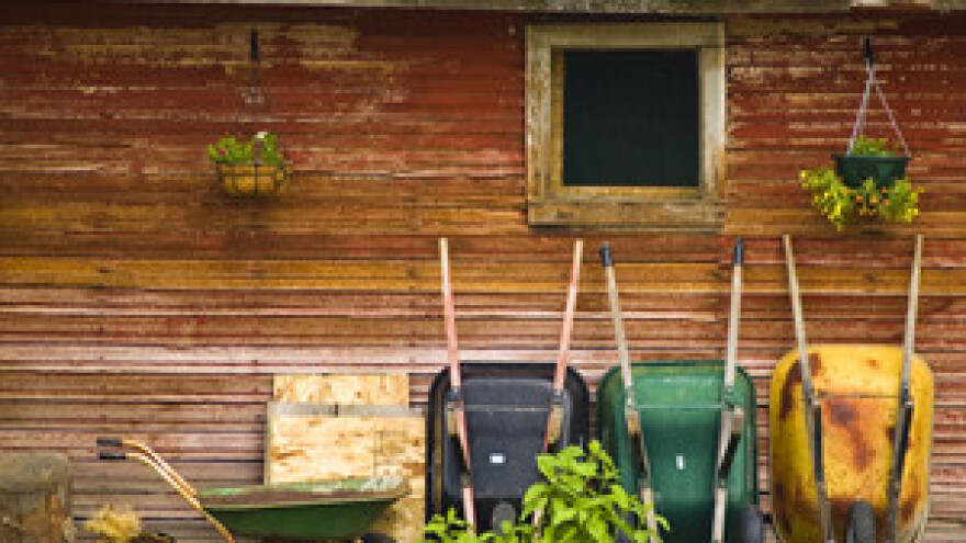 Legalizacija farmi veliki problem