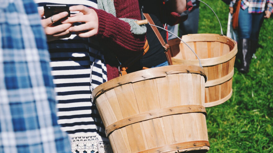 Farma II jača udruženja, zadruge i ruralne asocijacije