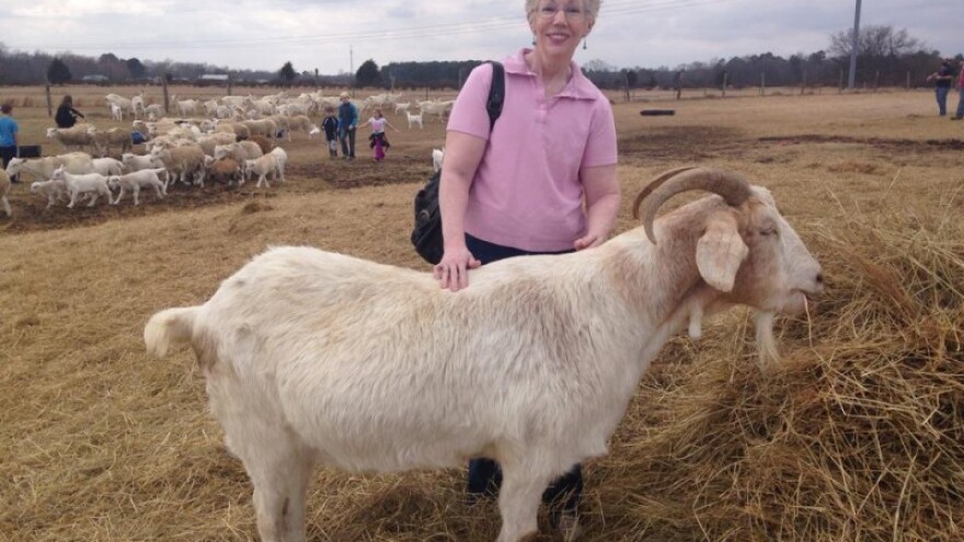 Najbolji esej osvaja farmu koza!