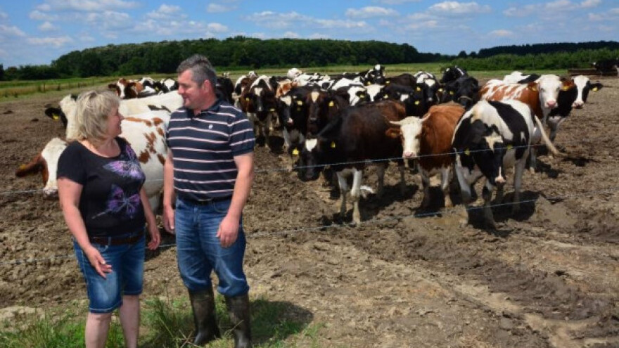 EU reducira proizvodnju mlijeka - cijene rastu?