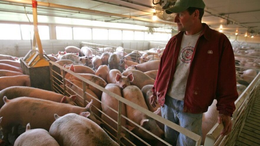 Slovenci vole svinjetinu - ali je malo proizvode!