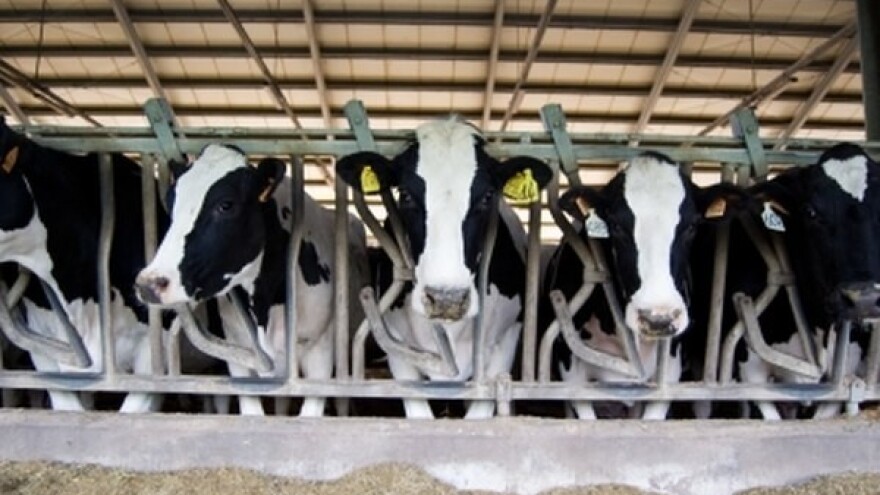 Bespovratna sredstva za farme u Vojvodini