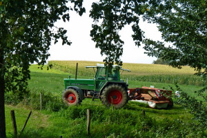 Meho Muharemović - najbolji farmer općine Centar kaže da bez pomoći porodice ništa ne bi uspio