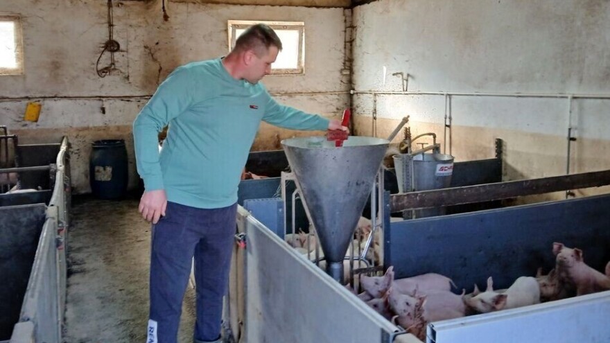 Na Dejanovoj maloj farmi uskoro na prodaju 150 prasića sa pedigreom