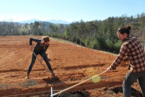 Samostalno prijavite projekt ruralnog razvoja!