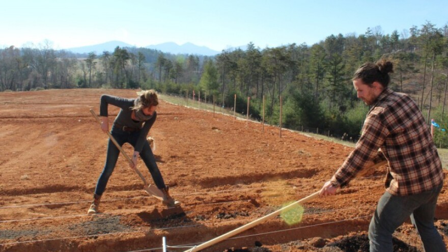 Samostalno prijavite projekt ruralnog razvoja!