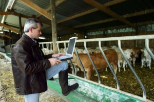 Slaba iskorišćenost sredstava iz EU fonda za ruralni razvoj