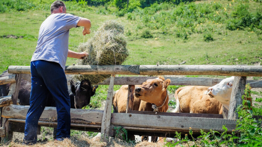 Podsticaji za organsku stočarsku proizvodnju