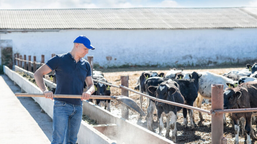 Počela izrada Strategije o dobrobiti životinja