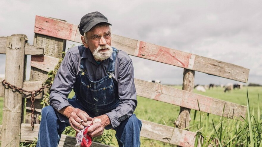 Dan neovisnosti - zaslužujemo li bolje?