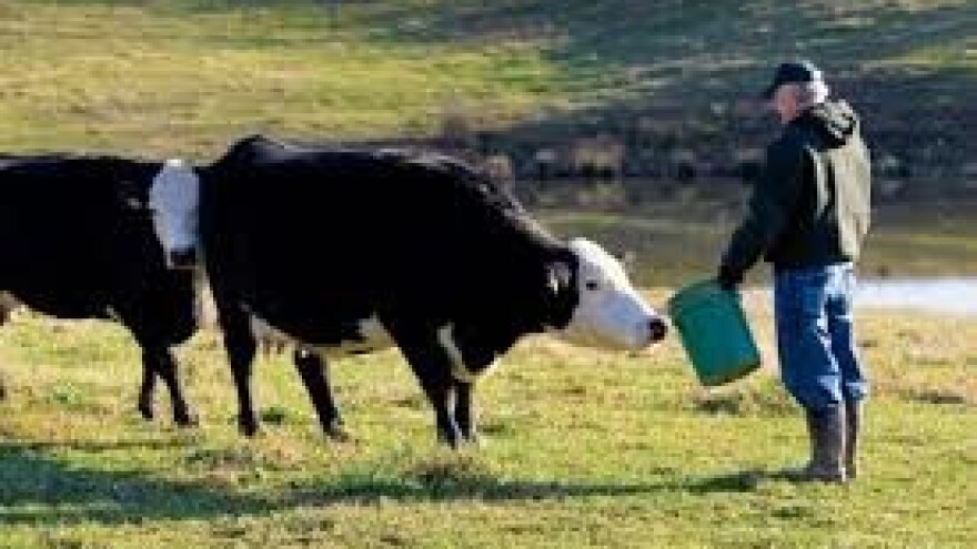 Rezultati izravne dodjele državnog zemljišta