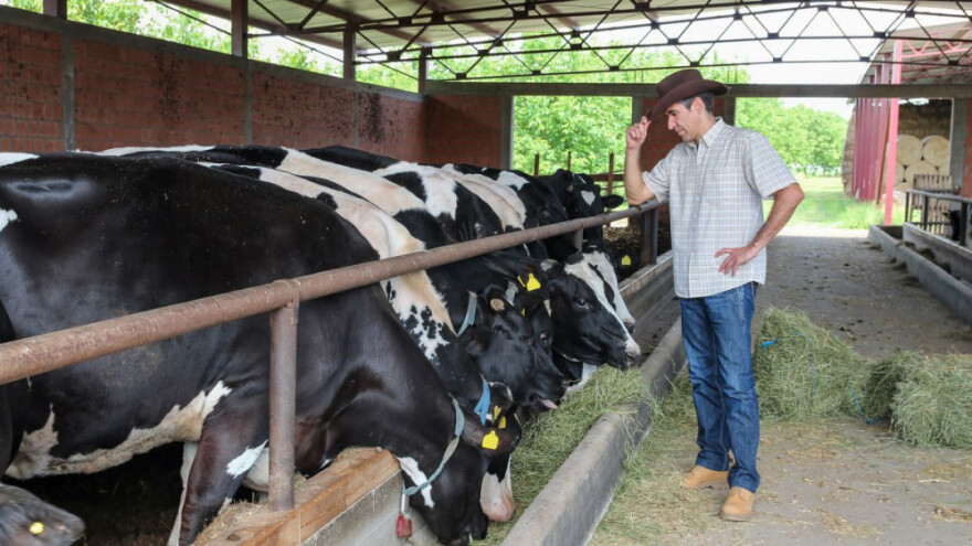 Ministarstvo pozvalo na zaštitu domaće proizvodnje