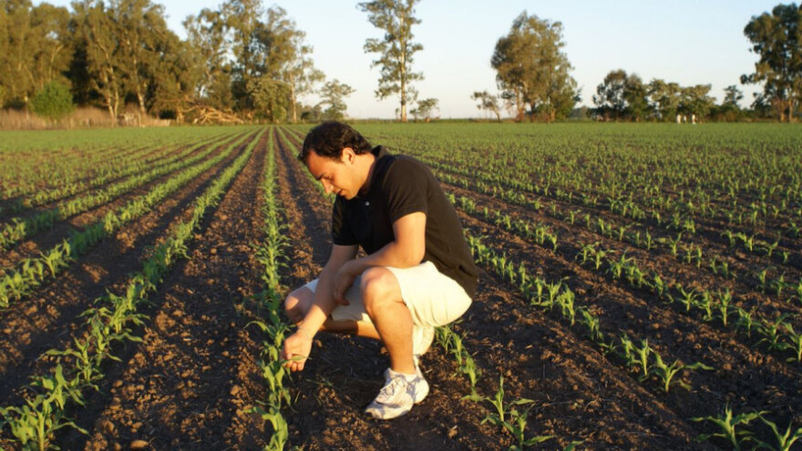 Pad realnog dohotka u poljoprivredi za 5,7%?