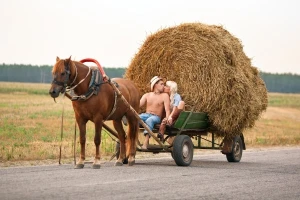 10 poklona za Valentinovo za najdražeg farmera