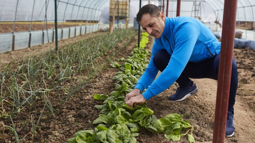 Odaberite jedan od tri povoljna SINERGO paketa za male poduzetnike i obrtnike