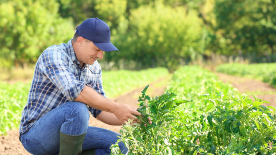 5 razloga zašto je poljoprivreda zanimanje budućnosti