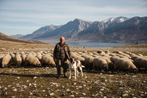 Farmer s 200 ovaca jači od krize