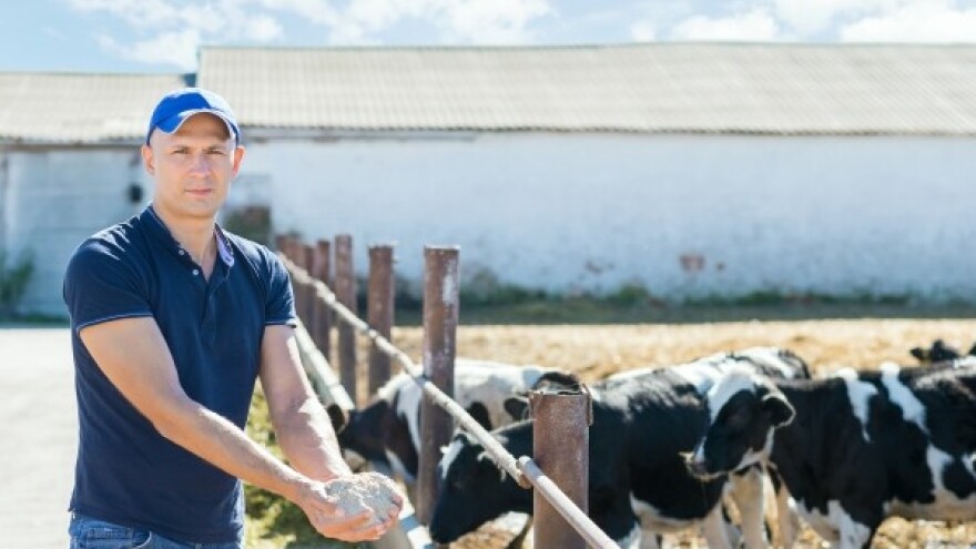 Kako postati uspješan poduzetnik u stočarstvu?