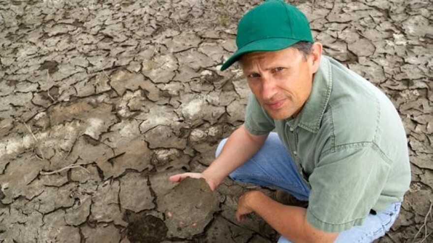 Današnja poljoprivreda vodi nestašici hrane?