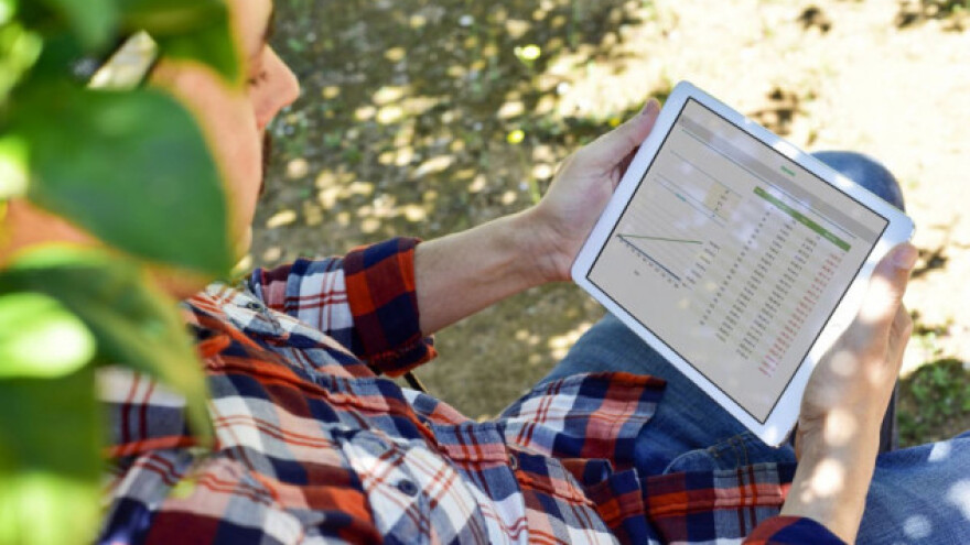 Izravna plaćanja isključivo preko interneta? Da, u Poljskoj!