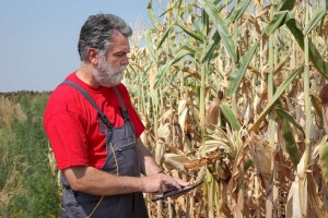AGRONET informira o pravima na plaćanja