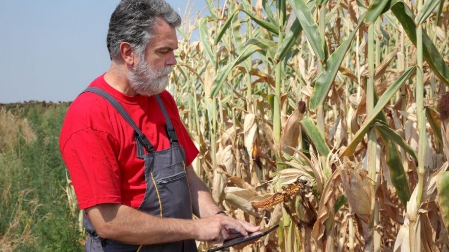 AGRONET informira o pravima na plaćanja