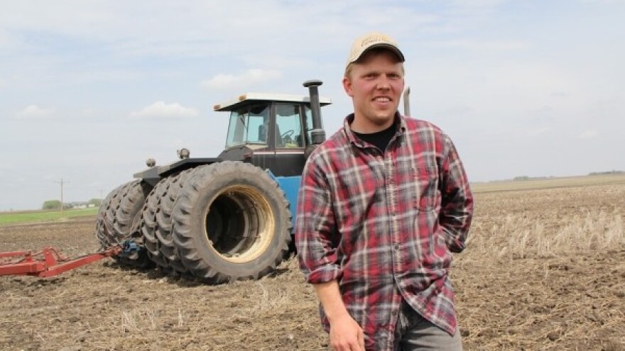 Traže se kooperanti za uzgoj voštanog kukuruza!