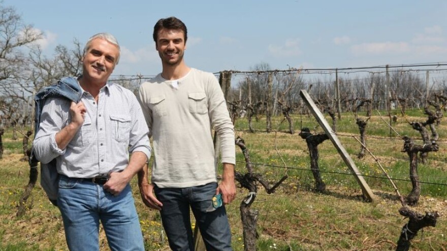 Zaštita loze i grožđa prije berbe