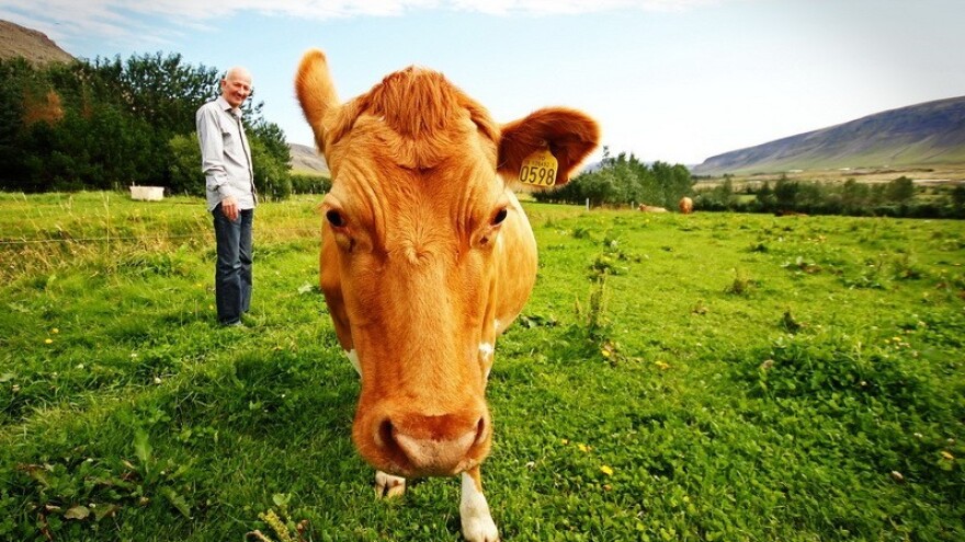 Suhi i sunčani blagdani na farmama