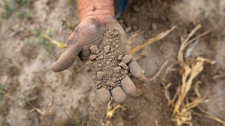 Šteta od suše 570 milijuna kuna!