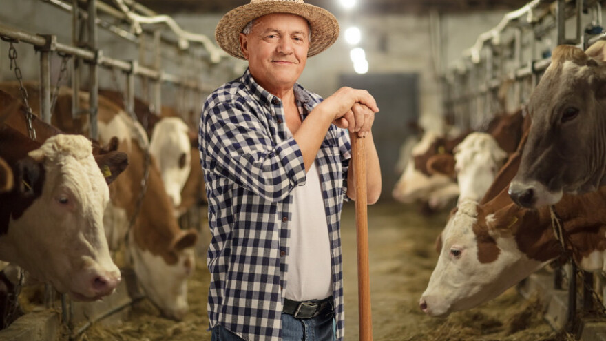 Kad vidim kako seljaci varaju, ne čudim se državi