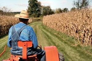 Domaći farmeri sve više rade, a sve manje zarađuju
