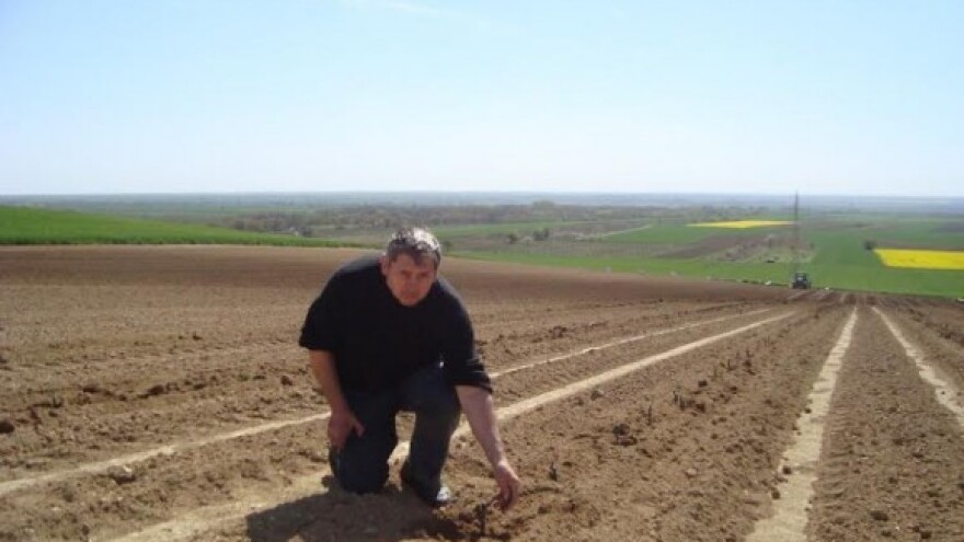 Kako će nas PRR lansirati u održivu poljoprivredu?