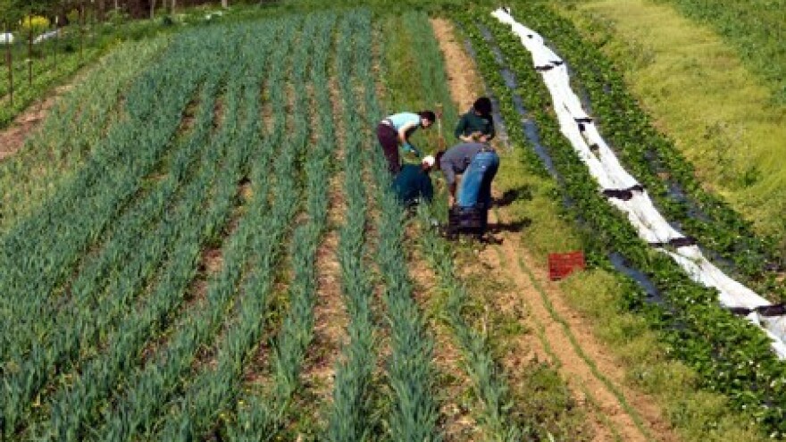 Raspisivanje natječaja za manje od dva tjedna