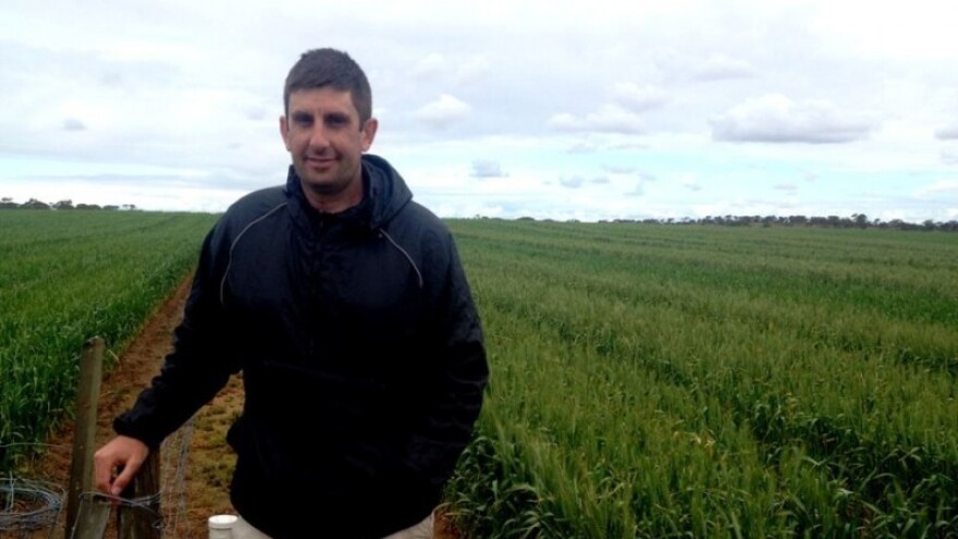 Osnovna gnojidba ozimih žitarica