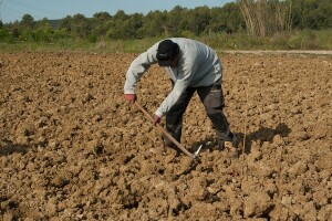 Farmeri, ribari i šumari najskloniji samoubojstvu!