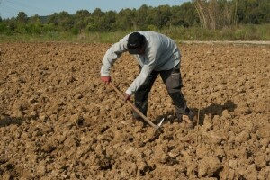 Farmeri, ribari i šumari najskloniji samoubojstvu!