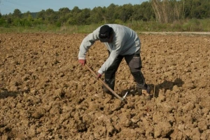 Farmeri, ribari i šumari najskloniji samoubistvu!